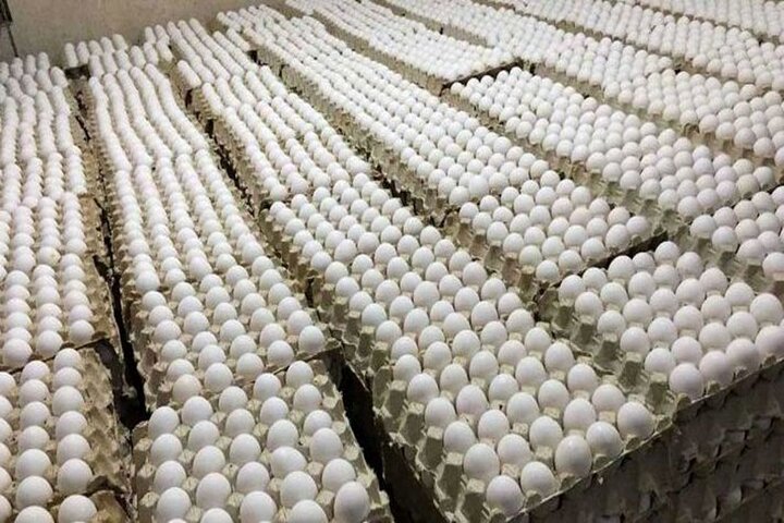 قیمت تخم مرغ در میادین و بازارهای میوه و ترهبار اعلام شد