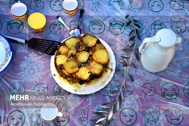 پویش مقلوبه در بیرجند