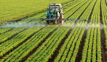 عوارض باقیمانده سموم در محصولات کشاورزی/ از انواع سرطان تا کاهش باروری