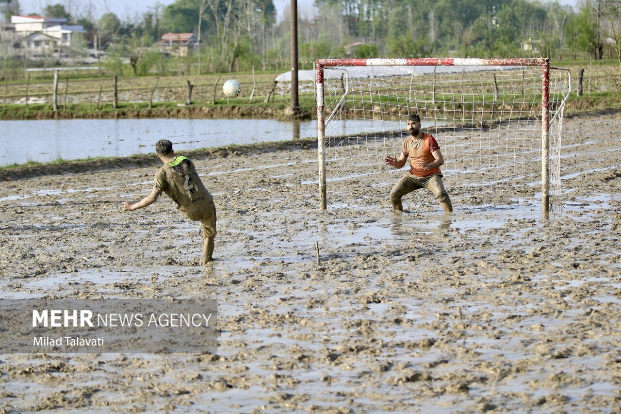 جشنوارهای برای «شالیزار» در آستانه اشرفیه