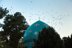 بزرگداشت عطار پاسداری از هویت فرهنگی ایران اسلامی است