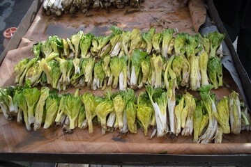  «کلوس»؛ گیاه گران‌بهای برف‌زاد چهارمحال‌وبختیاری