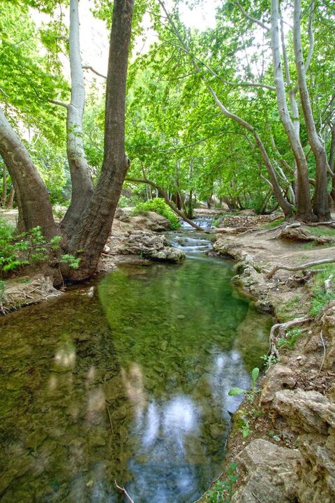 تبدیل منطقه حفاظت شده به گردشگری/ واگذاری بهشت گمشده در فارس