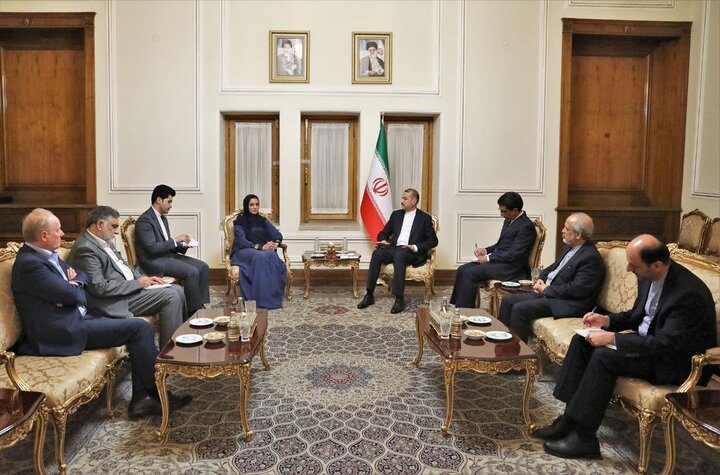 تاکید امیرعبداللهیان بر نقش سازمان بهداشت جهانی برای کمک به غزه تاکید امیرعبداللهیان بر نقش سازمان بهداشت جهانی برای کمک به غزه
