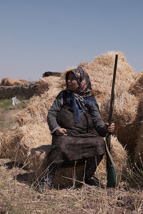 «اسلحه مادری» ماجرای یک عشق مادرانه است/ خانواده به وسعت یک کشور