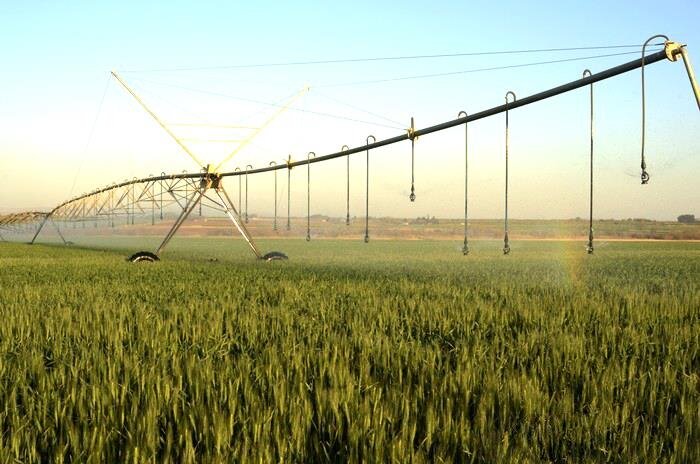 افزایش ۳۵ درصدی بهره وری آب در سطح مزرعه با سامانه آبیاری قطره‌ای