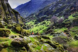 Spring nature of Makhmal Kuh in Iran’s Lorestan