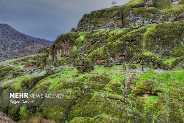 Mehr News Agency - Spring nature of Makhmal Kuh in Iran’s Lorestan
