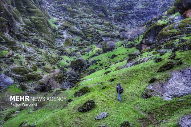 Mehr News Agency - Spring nature of Makhmal Kuh in Iran’s Lorestan