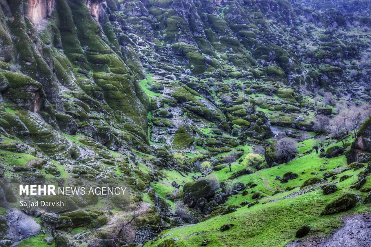 Mehr News Agency - Spring nature of Makhmal Kuh in Iran’s Lorestan