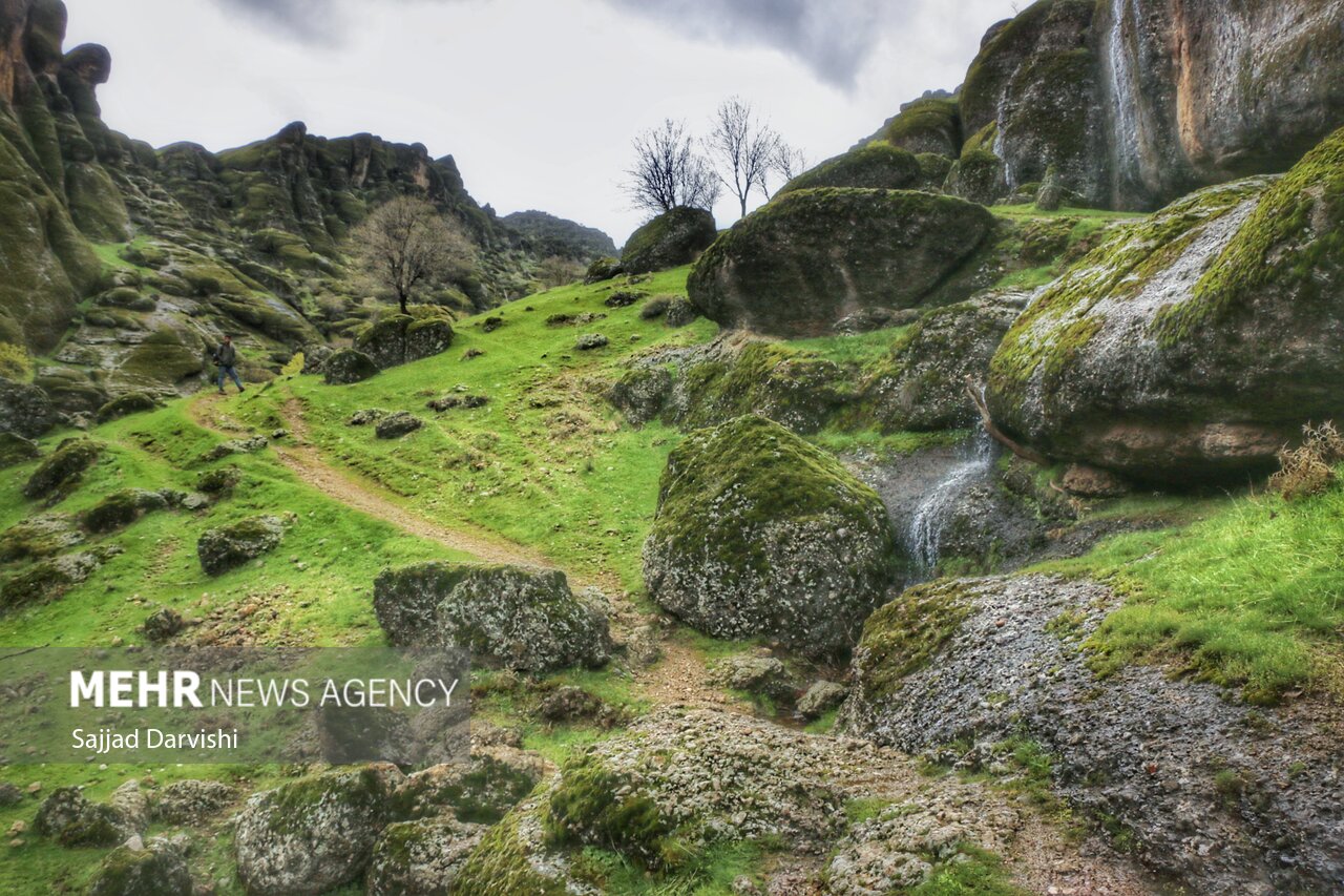 Mehr News Agency - Spring nature of Makhmal Kuh in Iran’s Lorestan