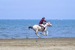 First Horse-racing in Gilan province