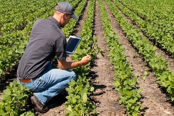 گام مردم در کشاورزی هوشمند/  راه میان‌بر برای مردمی‌سازی فناوری باز شد