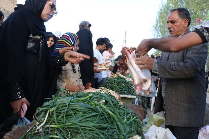 چهارمین جشنواره ریواس و سبزی‌های بومی در کوهسرخ برگزار شد