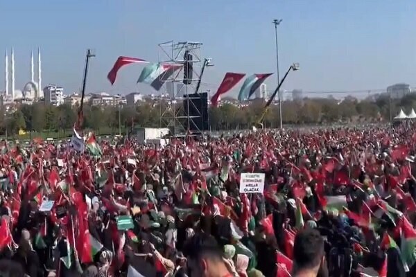 Turkish people hold pro-Palestine rally in Istanbul (+VIDEO)