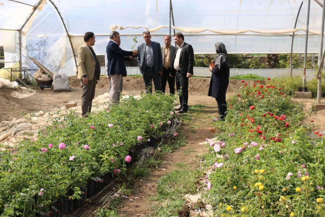 تنوع کشت گیاهان دارویی رونق‌بخش اقتصاد در کردستان
