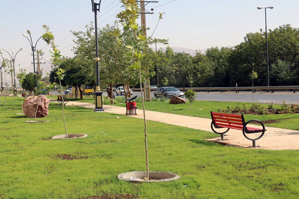 وعدههای پوچ نمکی بر زخم اهالی شهرک ابریشم چهارباغ