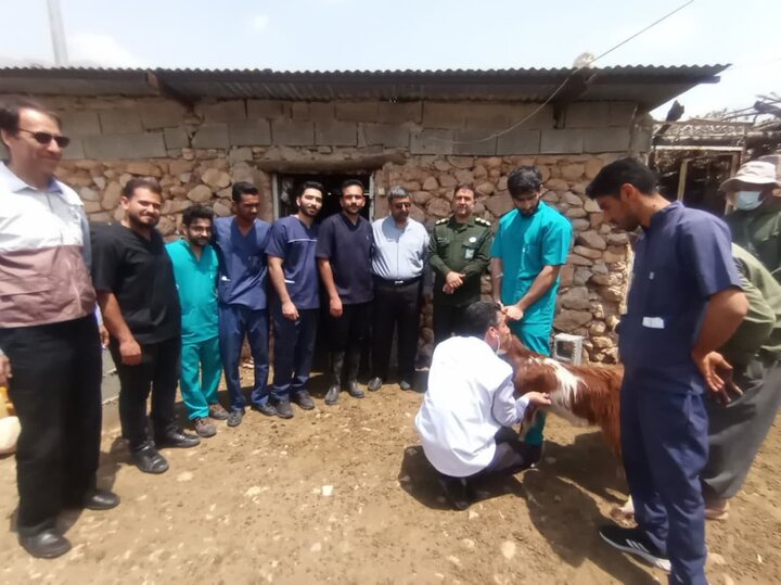 رزمایش واکسیناسیون ۲۵۰ هزار راس دام در استان فارس برگزار شد