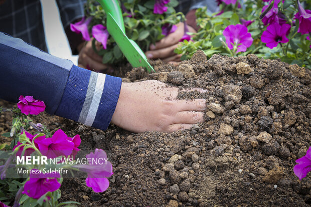 انرژی پاک، زمین پاک تهران در مسیر توسعه پایدار