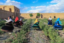 ثبت بیشترین رویداد گردشگری در اردیبهشت ماه ۱۴۰۴