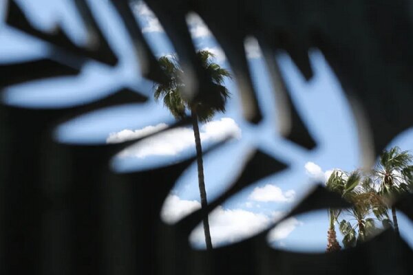 ۲۵ نکته از جشنواره فیلم کن ۲۰۲۵؛ از ستارهها و داوران تا تجلیلها