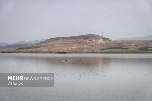 بازدید عکاسان و خبرنگاران از تالاب‌های حوضه آبریز دریاچه ارومیه