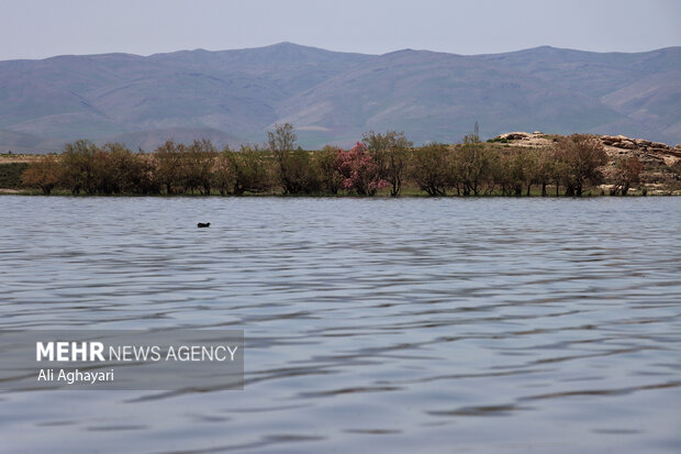 آخرین وضعیت دریاچه ارومیه بعداز بارش های اخیر