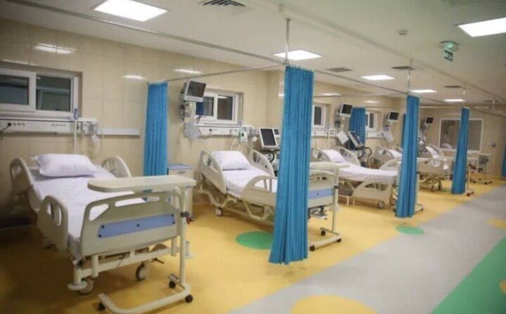 فارس در مسیر پیشرفت؛ شهر سلامت شیراز فرصتی برای توسعه توریسم درمانی