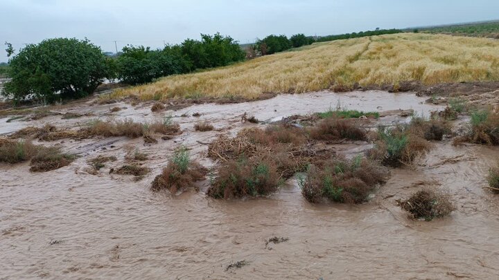 میانگین بارش در اردستان ۲۶ درصد افزایش یافت