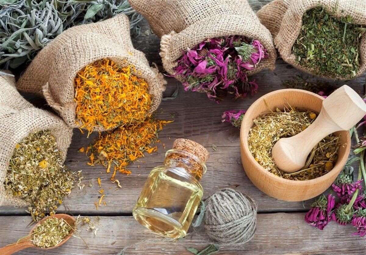 تنوع کشت گیاهان دارویی رونقبخش اقتصاد در کردستان