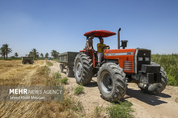 کاهش سهمیه سوخت تراکتورداران مهمترین دغدغه کشاورزان اسدآبادی
