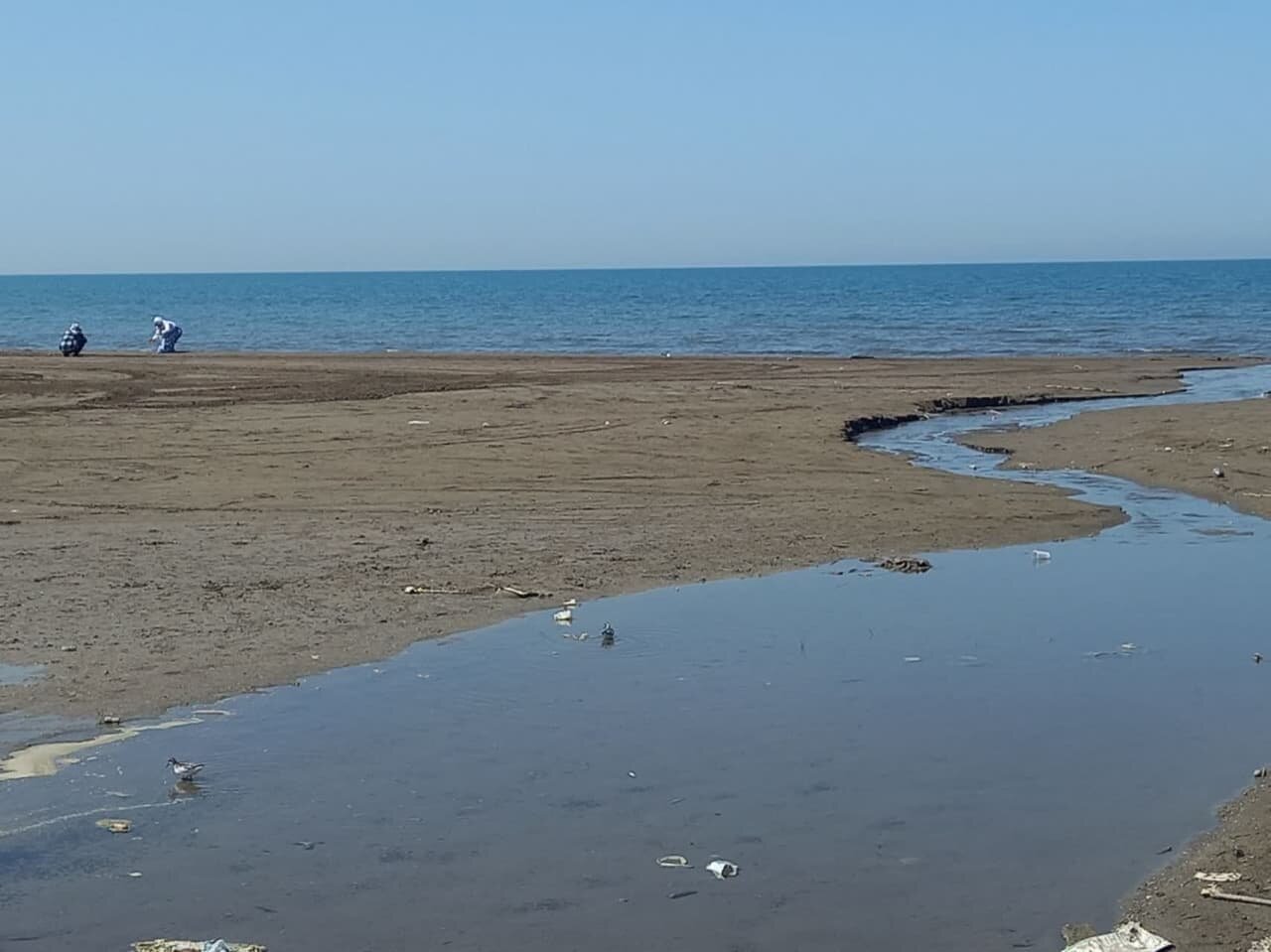 شرنگ شیرابه در کام خزر/ میلیونها مسافر به شوق شنا از راه میرسند