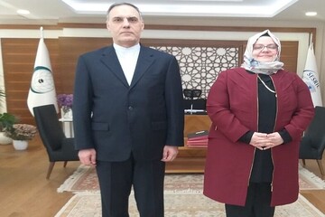 السفير الإيراني لدى تركيا يلتقي مع مسؤولة في منظمة التعاون الإسلامي