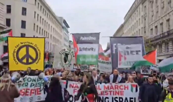 VIDEO: London protesters demand immediate ceasefire in Gaza