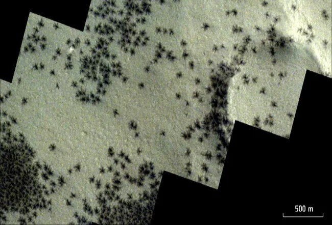 عکاسی از انبوه عنکبوت‌ها روی مریخ