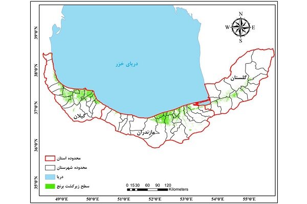 کشت دوم برنج در مازندران آری یا نه/ کاهش یک متری ذخایر آبی