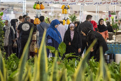 İsfahan'da çiçek ve bitki fuarı