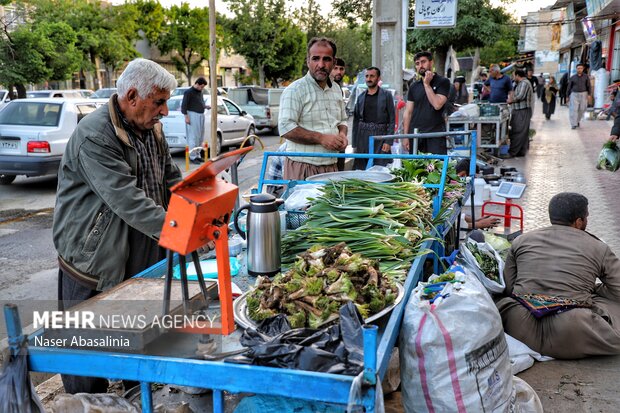 تنوع گیاهان خوراکی رونق بخش سفره کردستانی‌ها