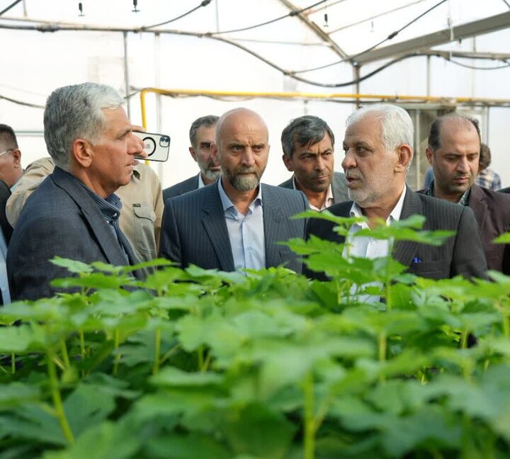 شهرک صنعتی «کشت و صنعت» لرستان بهزودی بهرهبرداری میشود