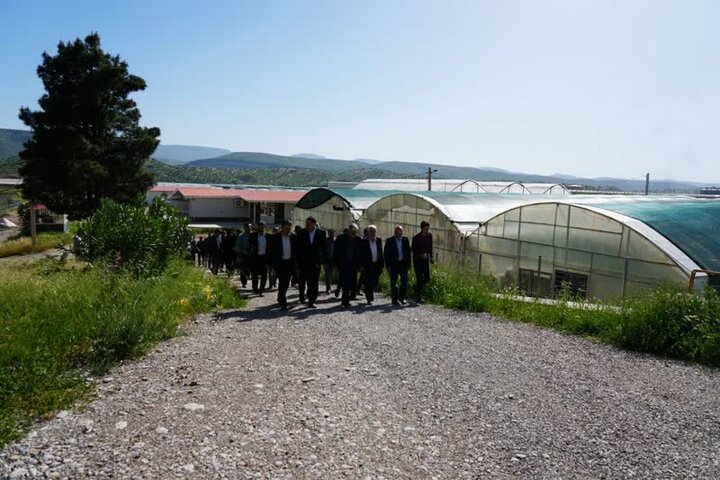 شهرک صنعتی «کشت و صنعت» لرستان بهزودی بهرهبرداری میشود