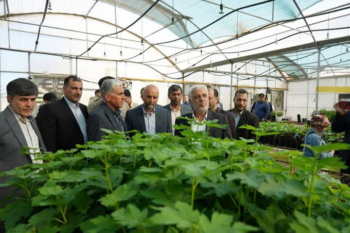 شهرک صنعتی «کشت و صنعت» لرستان بهزودی بهرهبرداری میشود