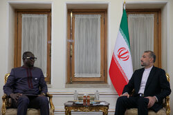 دیدار وزیر صنایع آفریقای مرکزی با وزیر امور خارجه ایران
