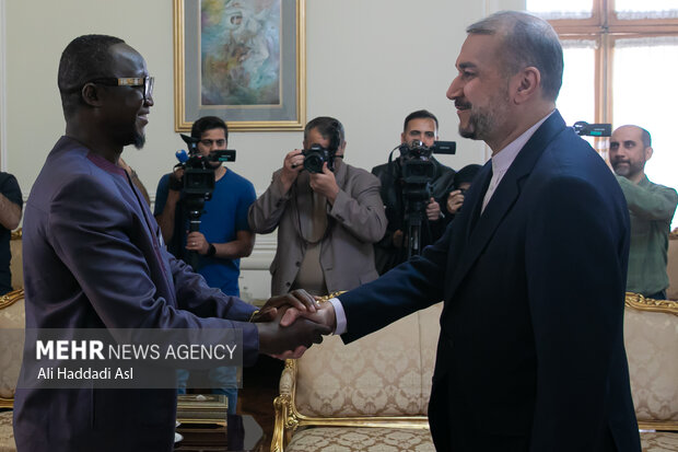 Iran FM's meeting with Central African Republic's minister