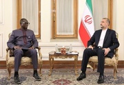 Boosting ties with African states priority for Iran: FM