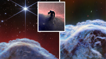 عکاسی از اسب فضایی با جزییات دقیق