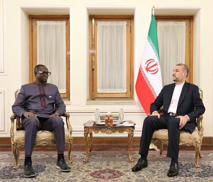 Emir Abdullahiyan, Orta Afrika yetkilisi ile görüştü