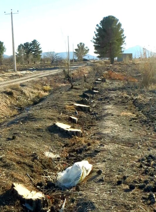 زنگ خطر کمبود «آب» در شاهرود/ اهمیت بیش از پیش حفظ «شاهوار»