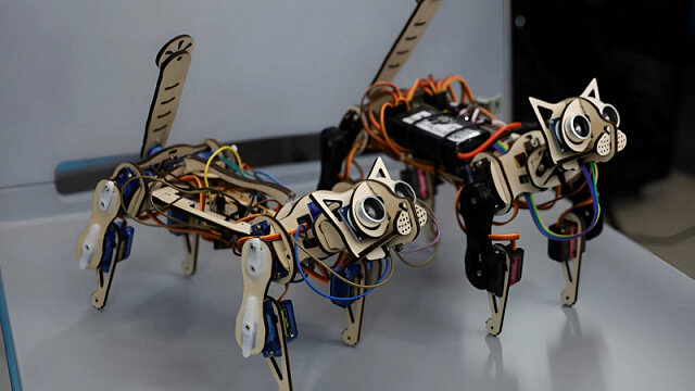 Russian university creates cybercat to teach robotics