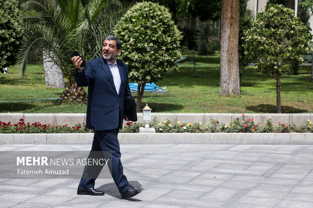 عزت الله ضرغامی وزیر میراث فرهنگی در حاشیه جلسه هیات دولت