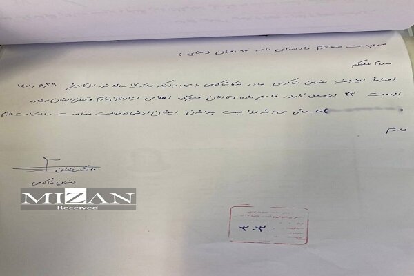 انتشار مستندات جدید از مرگ نیکا شاکرمی